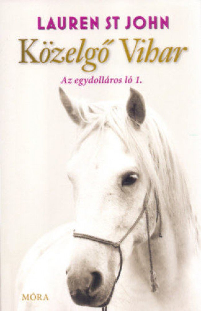 Lauren St John - Közelgő Vihar [antikvár]