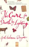 ANDERSON-DARGATZ, GAIL - The Cure for Death by Lightning [antikvár]