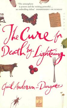 ANDERSON-DARGATZ, GAIL - The Cure for Death by Lightning [antikvár]