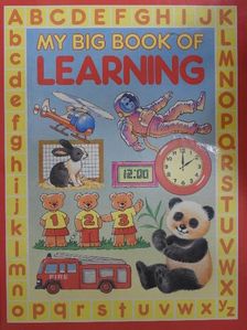 Anne McKie - My Big Book of Learning [antikvár]