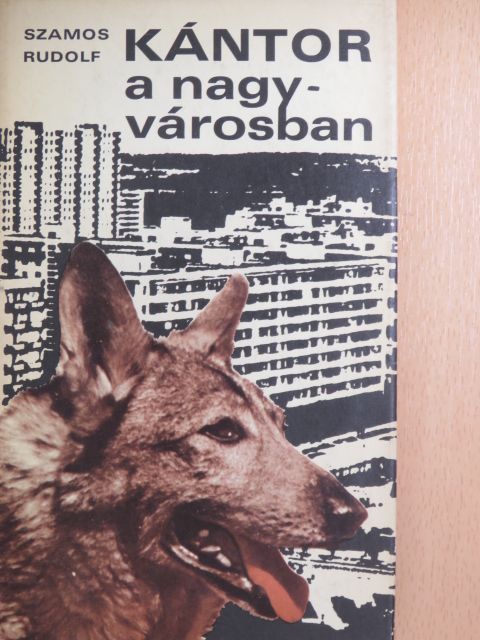 Szamos Rudolf - Kántor a nagyvárosban [antikvár]