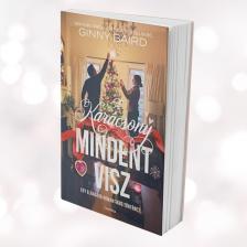Ginny Baird - A karácsony mindent visz