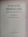 Kanizsai-Nagy Antal - Magyar irodalom IV. [antikvár]