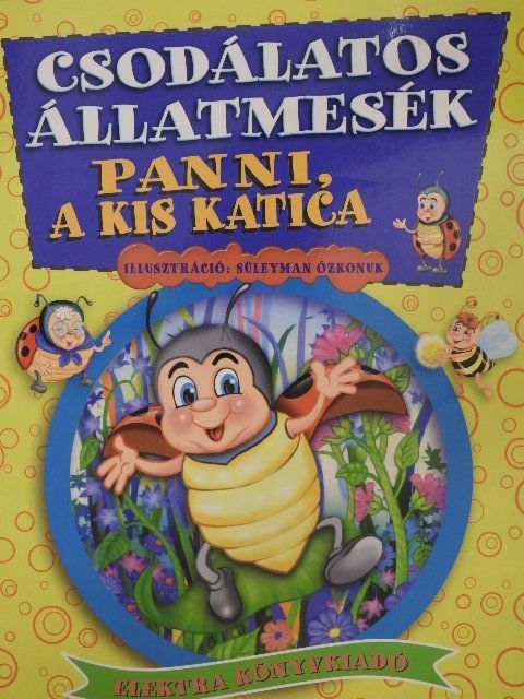 Panni, a kis katica [antikvár]