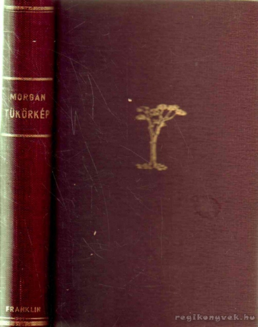 Morgan, Charles - Tükörkép [antikvár]