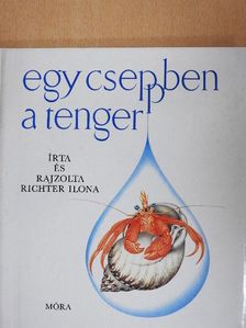 Richter Ilona - Egy cseppben a tenger [antikvár]