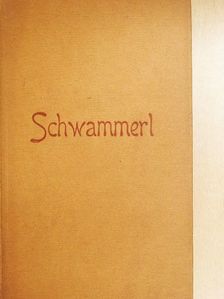 Rudolf Hans Bartsch - Schwammerl  [antikvár]