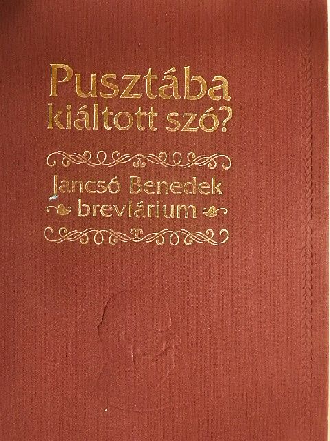 Jancsó Benedek - Pusztába kiáltott szó? [antikvár]