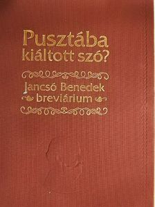 Jancsó Benedek - Pusztába kiáltott szó? [antikvár]