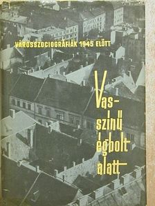 Bálint György - Vasszínű égbolt alatt [antikvár]