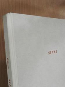 Sir Charles W. Wilson - Sinai & the South [antikvár]