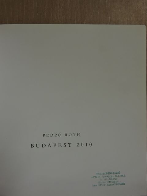Domingo Cullen - Pedro Roth [antikvár]