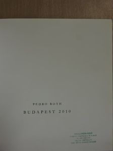 Domingo Cullen - Pedro Roth [antikvár]
