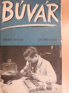 Dr. Cholnoky Jenő - Búvár 1935-1936. (nem teljes évfolyam) [antikvár]