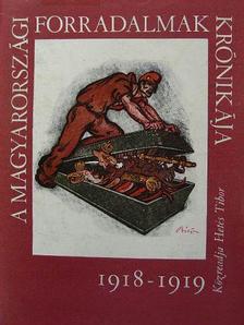 Hetés Tibor - A magyarországi forradalmak krónikája 1918-1919 [antikvár]