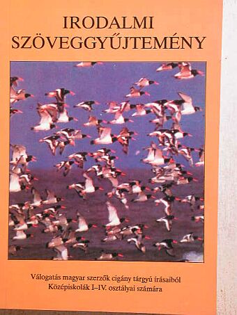 Ady Endre - Irodalmi szöveggyűjtemény [antikvár]