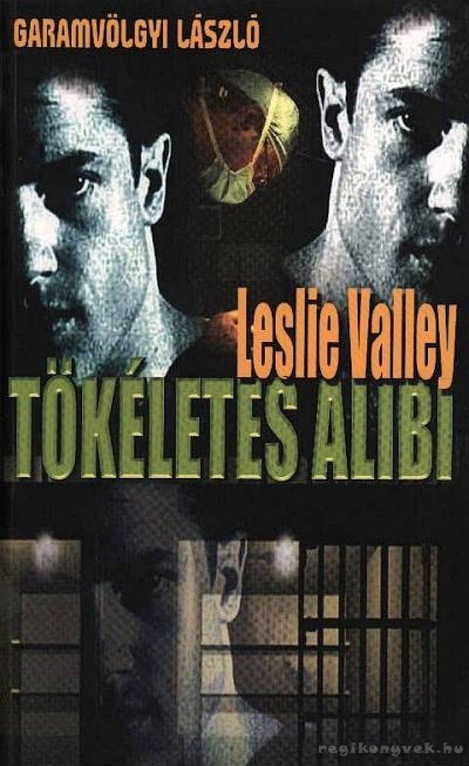 Valley, Leslie - Tökéletes alibi [antikvár]