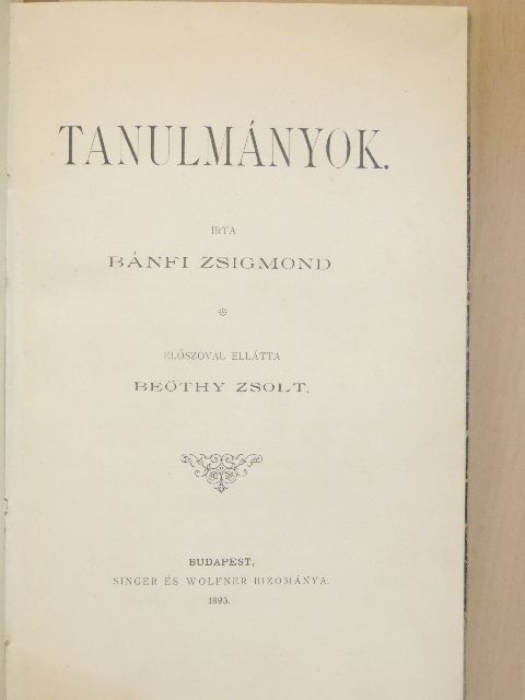 Bánfi Zsigmond - Tanulmányok [antikvár]