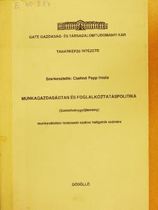 Bódis Lajos - Munkagazdaságtan és foglalkoztatáspolitika [antikvár]