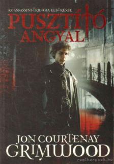 Jon Courtenay Grimwood - Pusztító angyal [antikvár]