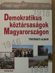 Erényi Tibor - Demokratikus köztársaságok Magyarországon [antikvár]