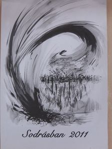 Sodrásban 2011 [antikvár]