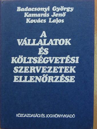 Badacsonyi György - A vállalatok és költségvetési szervezetek ellenőrzése [antikvár]