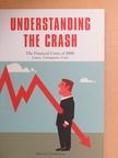 Jack Hollihan - Understanding the Crash [antikvár]