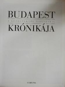 Ágoston Gábor - Budapest krónikája [antikvár]