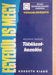 Mészáros Tamásné - Táblázatkezelés [antikvár]