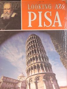 G. Barsali - Looking at Pisa [antikvár]