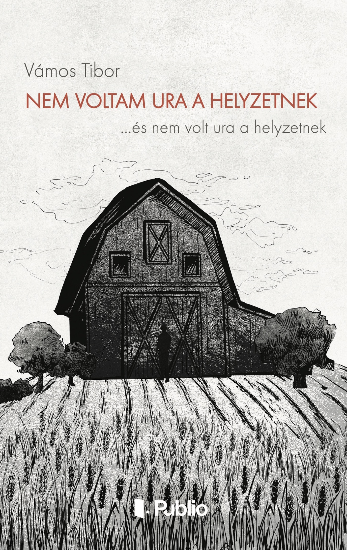 VÁMOS TIBOR - Nem voltam ura a helyzetnek