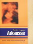 David Leavitt - Arkansas [antikvár]