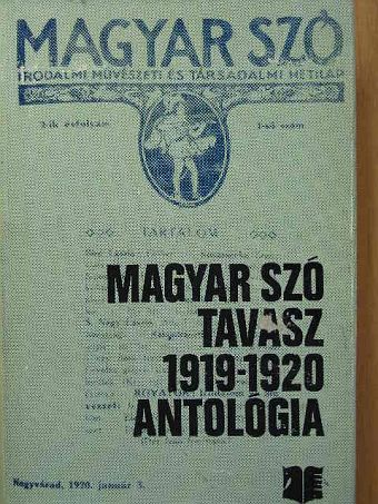 Ádám Ferenc - Magyar Szó-Tavasz 1919-1920 [antikvár]