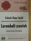 Császár Nagy László - Lerombolt szentek [antikvár]