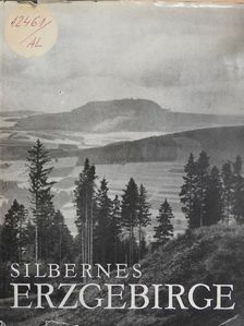 Hermann Heinz Wille - Silbernes Erzgebirge [antikvár]