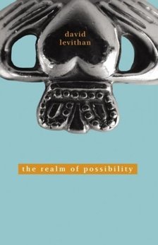 David Levithan - The Realm of Possibility [antikvár]