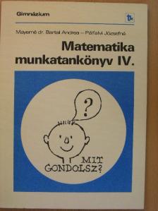 Mayerné dr. Bartal Andrea - Matematika munkatankönyv IV. [antikvár]
