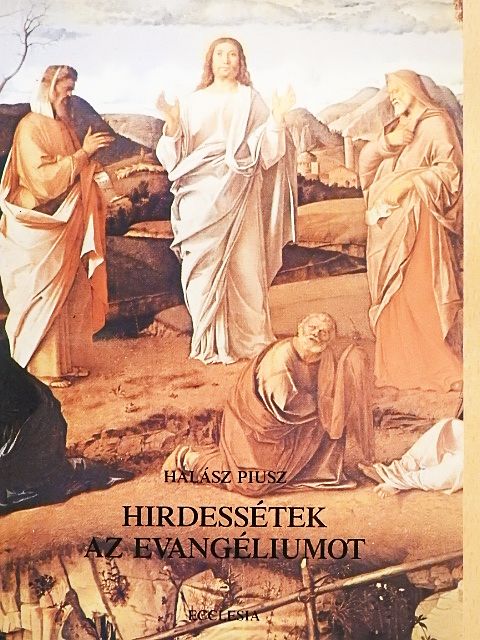 Halász Piusz - Hirdessétek az evangéliumot [antikvár]