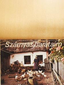 Szárnyas barátaim [antikvár]