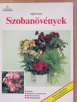 Sigrid Heuer - Szobanövények [antikvár]