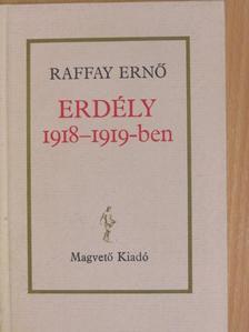 Raffay Ernő - Erdély 1918-1919-ben [antikvár]