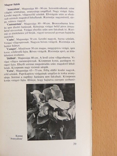 Dr. Nagy Béla - Gumós és gyöktörzses kerti virágok [antikvár]