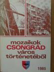 Béres Mária - Mozaikok Csongrád város történetéből 1985 [antikvár]