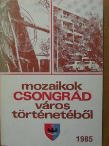 Béres Mária - Mozaikok Csongrád város történetéből 1985 [antikvár]