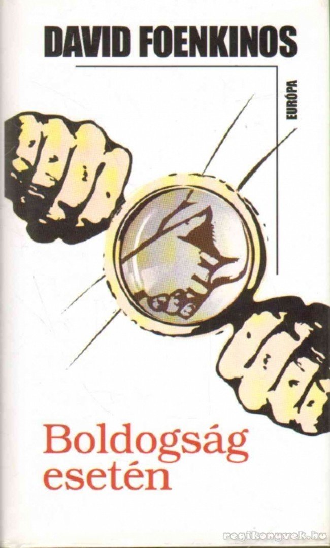 David Foenkinos - Boldogság esetén [antikvár]