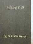 Molnár Imre - Táj tankkal és sirállyal [antikvár]