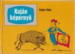 Kaján Tibor - Kaján képernyő [antikvár]