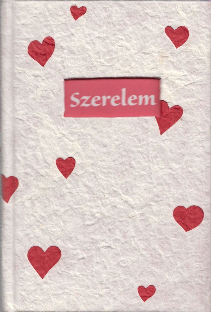 Suzanne Moore - Szerelem [antikvár]