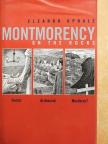 Eleanor Updale - Montmorency on the Rocks [antikvár]